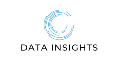 Data Insight Consulting GmbH